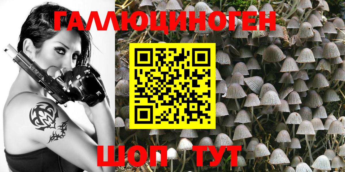 Галлюциногенные грибы MAGIC MUSHROOMS  Вход с VPN  Качканар 